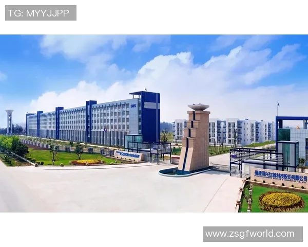 福建浔兴股份强势对阵全面分析揭示球队潜力与未来发展方向